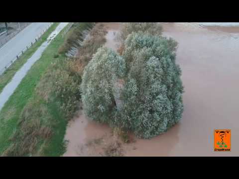 Cavarzere ponte sull'adige