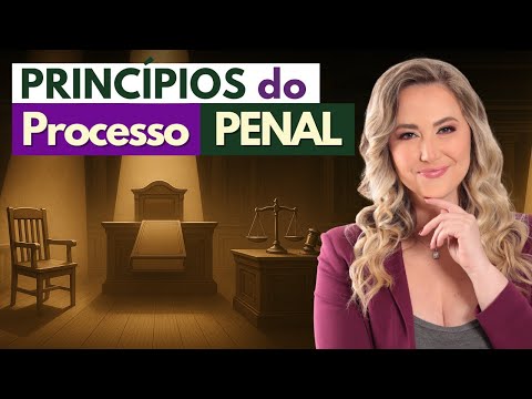 Principles of Criminal Procedural Law (Summary)