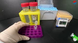 Zebrafish Alizarin Red Staining