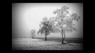 The Shaggies - Find You Waiting