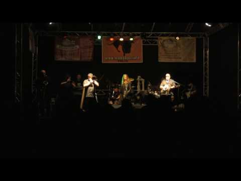 REGGAE AREA 2016 - STO ZVÍŘAT