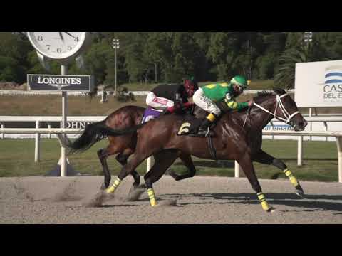 201121 c07 - CONSTANTE - MAROÑAS