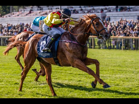 Berlin-Hoppegarten - 3.10.2020: 130. Grosser Preis von Berlin (Gr. I) - Sieger: Torquator Tasso