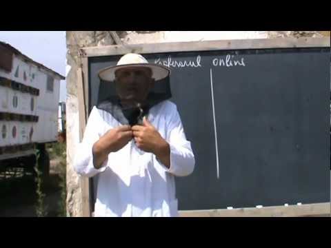 1. Proful online are solutii la problema invatamantului 1/2