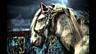 Gogol Bordello - 60 Revolutions