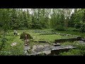 Renovatie karakteristiek model Waterloopbos van start
