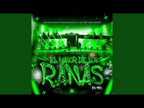 El Mayor de los Ranas (En Vivo)