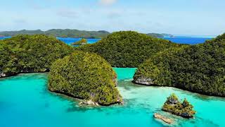 Download lagu Dunyodagi eng chiroyli quron tilovati Qalblarni Uygotuvchi qiroat mp3