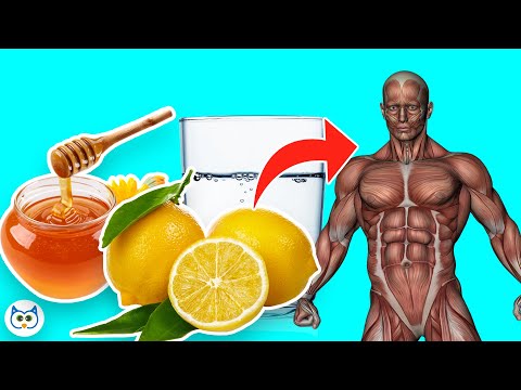 8 Benefits of Drinking Warm Water With Lemon & Honey In The Morning