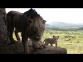 The Lion King 2019 Scar And Simba Scene HD