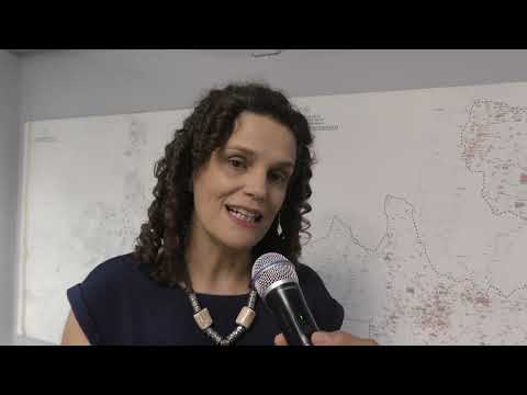 Bullying y ciberacoso: Educación estableció un protocolo obligatorio y la corresponsabilidad familiar como eje