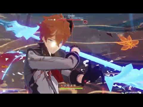 C0 Childe International 7.5 cost vs Cocijo