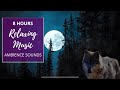 Wolf Howls Nature At Night Sleep Relax Peaceful 8 HOUR Ambient Sounds Music And Imagery