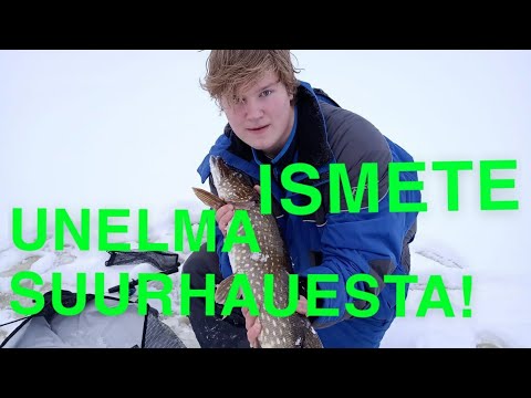 UNELMA SUURHAUESTA | ISMETEHAUKIA KAHDELTA ERI LAMMELTA! ft (Kalakingit)