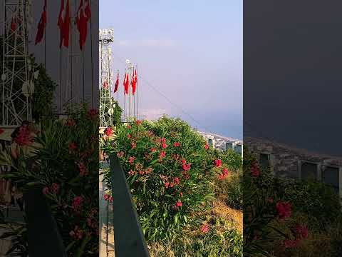 Videos del Panorama 4★ en Alanya, Turquía
Ver Más
Ver
Precios
14
Cerrar
Consulta por Whatsapp 🇦🇷
Booking
Tripadvisor
Expedia
Orbitz
Priceline
Trip
Skyscanner
Despegar
Kayak
Hoteles
Destinia
Trivago
Lastminute
Tui
