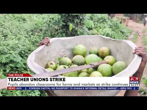 Teacher Strike Crisis: Pupils Flock to Farms and Markets as Classrooms Remain Empty | The Pulse