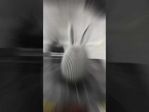Easter egg with bunny ears by SaberDynamics Time Lapse on Kingroon KP3S 3D Printer