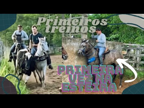 TREINO DE VAQUEJADA COM MEUS ANIMAIS - XIQUITA TO FLY DE DIREITA X ESTEIRA NEYMAR RICA DOC FLY