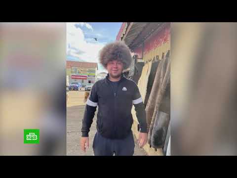 «FROM DRIVE TO GRILLES»