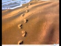 Lawson Rollins - Footprints.