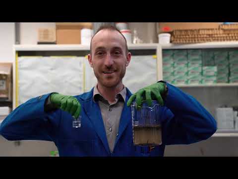 Getting to Know H2O — the Water Cycle (ACS People's Choice Award, 2019)