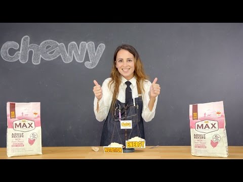 Nutro Max Dog Food | Chewy