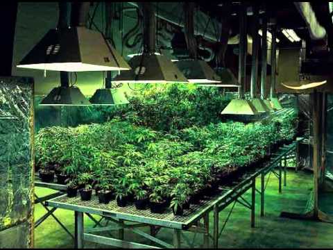 M.U.P. - Prepustanje unku [prod. Shmac Tata Cane]