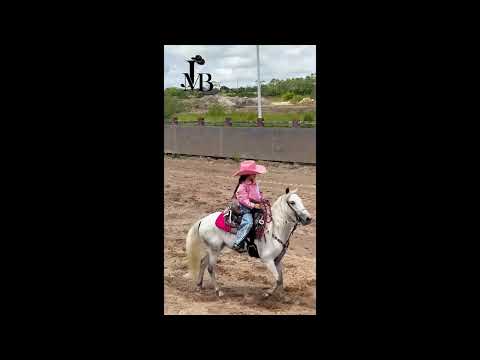 III Varas y Barriles - Monterrey Casanare