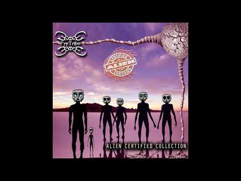 Kalilaskov As & Damender - Freedom