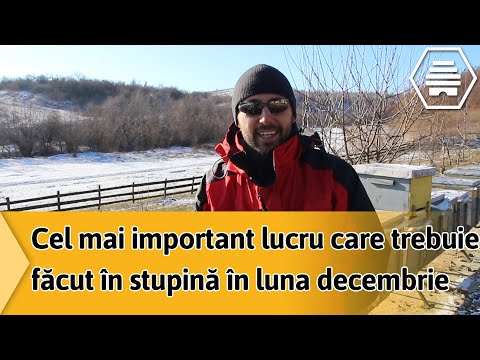 , title : 'Cel mai important lucru care trebuie făcut în stupină în luna decembrie'