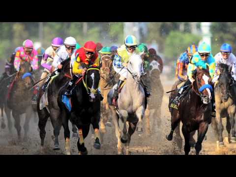 Bodemeister opts in for Preakness Stakes