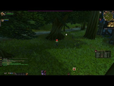 Hardcore Duo - Insane in the Membrane (PVP Flag from lvl 1)