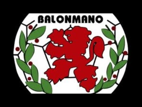 2ª Cadete Masculino VS BM Torrejón