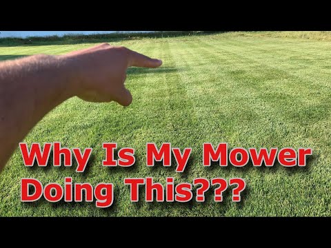 YouTube Video Cover