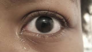 Lou Reed-Home of the Brave