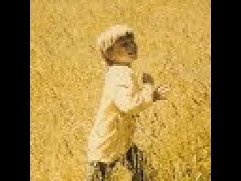 Andrew Foreman Live Stream