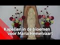 Maria Hemelvaart zet kapelletjes in hele provincie in de bloemen