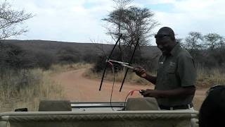 preview picture of video 'Leopardensuche in Okonjima mit Guide Albert Muyoba 1 Namibia'