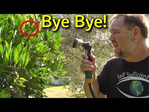 4 Reasons Why I Water by Hand & Best Retractable Hose Reel Hoselink Review