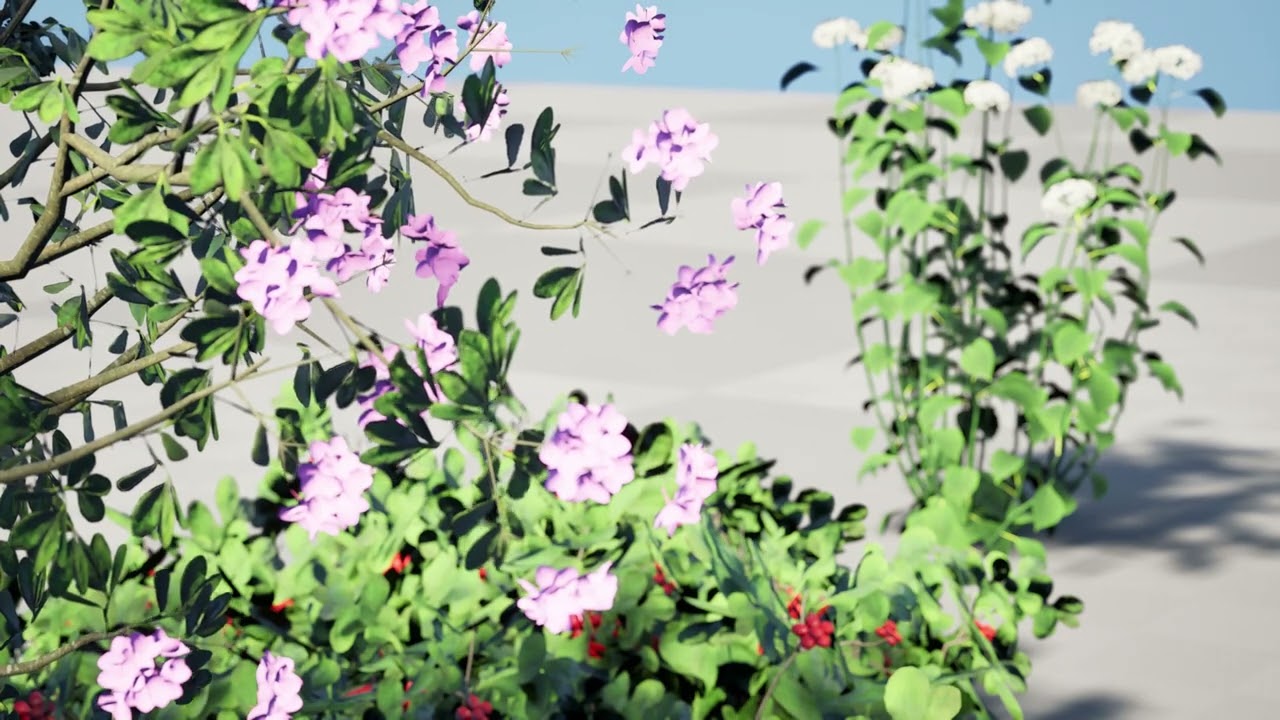 North American Shrubs Collection 3D Model