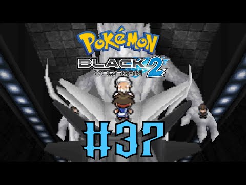 Pokemon Black 2 Walkthrough Part 37 - Drayden's Dragons