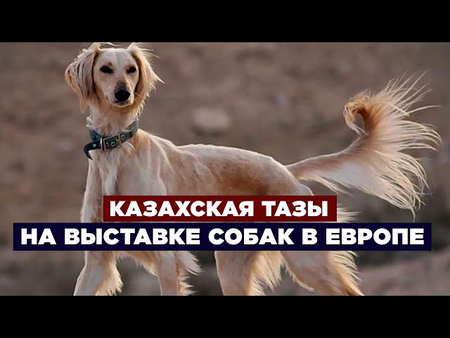 Новости. Выпуск от 15.08.2023 г.