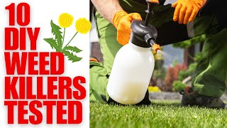 Testing 10 Home-Made Weed Killers | Results Shown