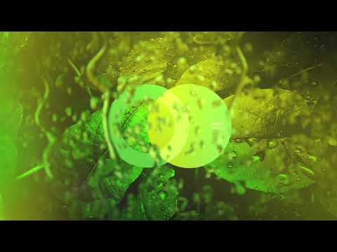 Leghet - Exodo (Original Mix) // AVE007 // Progressive House