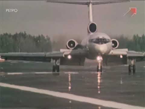 Socialistic Wings of Peace