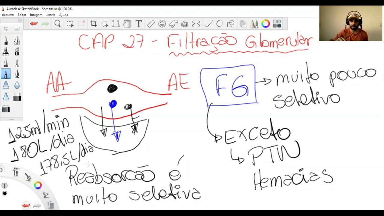 Capitulo 27   Filtração Glomerular