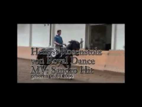 Gestüt Falkenhof Rosenstolz.flv