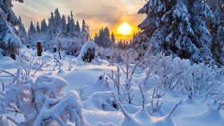 A Mellow Jazz Christmas - Stanley Clarke, Patrice Rushen, Ndugu Chancler - We Three Kings