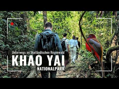 From Bangkok to Khao Yai National Park | Rainforest Adventure! | Roadtrip Thailand