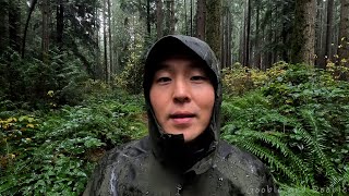 Ignorance Is Not Bliss